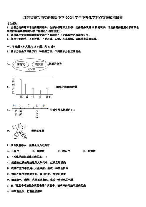 江苏省泰兴市实验初级中学2024届中考化学对点突破模拟试卷含解析