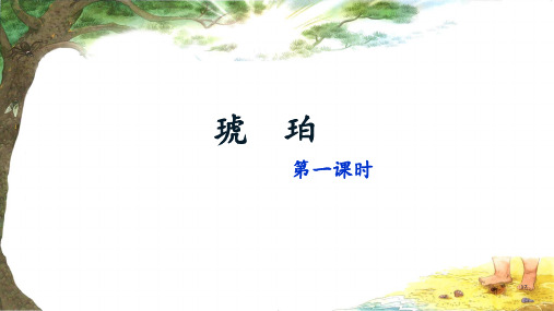 《琥珀》课件(第一课时)
