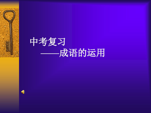 《中考语文复习成语的运用》ppt课件