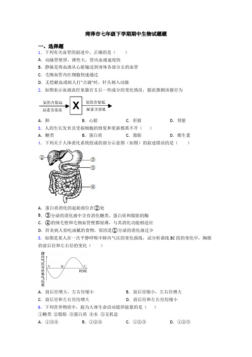 菏泽市七年级下学期期中生物试题题