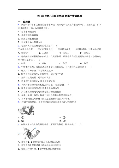 荆门市生物八年级上学期 期末生物试题题