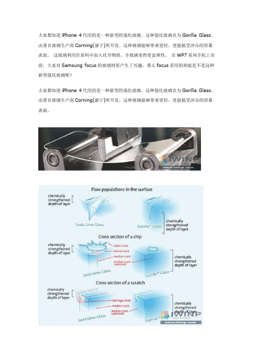 黑猩猩 玻璃
