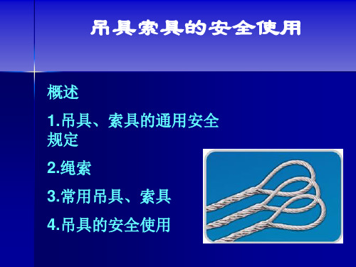 吊索具的安全使用(钢丝绳 纤维绳)   26页讲解