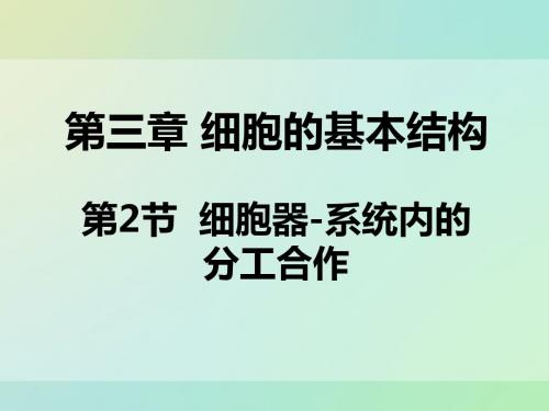 《教师参考》新课标人教版(高中生物) 必修1：3.2 细胞器——系统内的分工合作同课异构课件5.