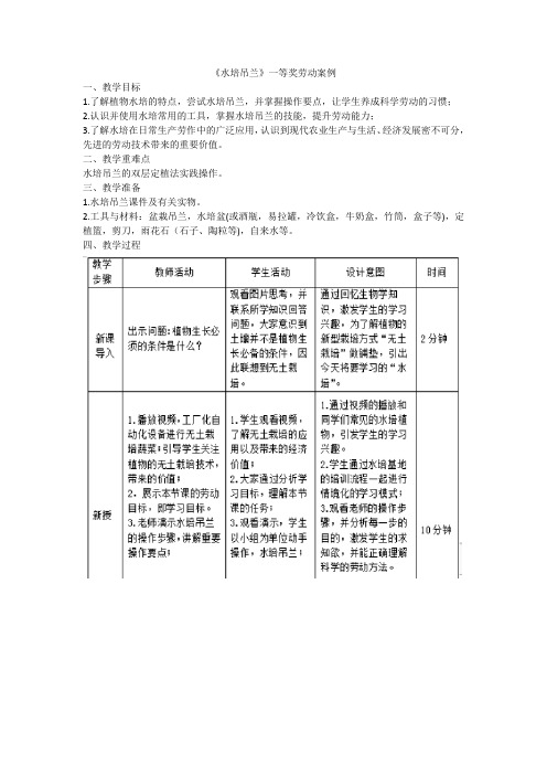 《水培吊兰》一等奖劳动案例