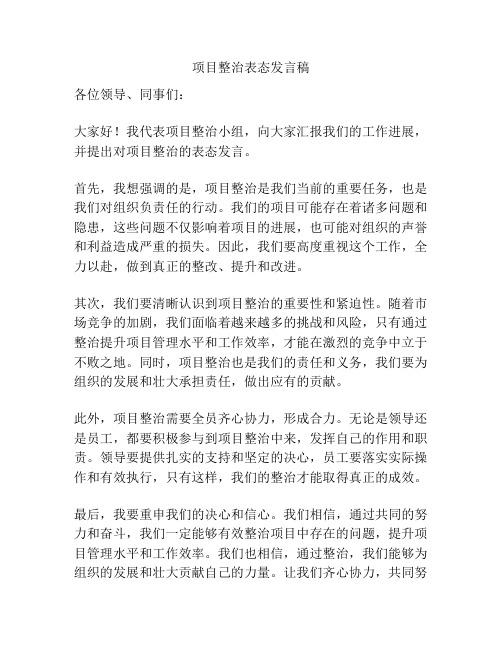 项目整治表态发言稿