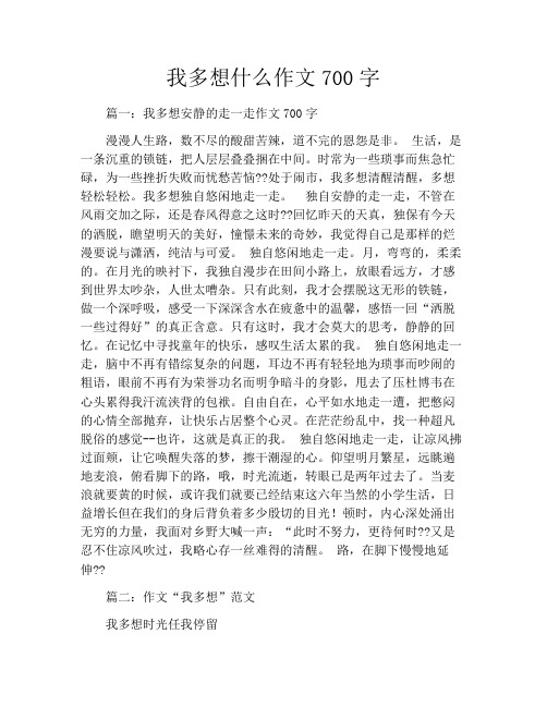 我多想什么作文700字