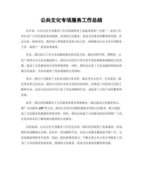 公共文化专项服务工作总结