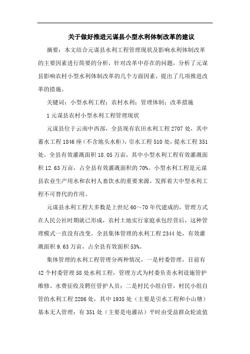 关于做好推进元谋县小型水利体制改革建议