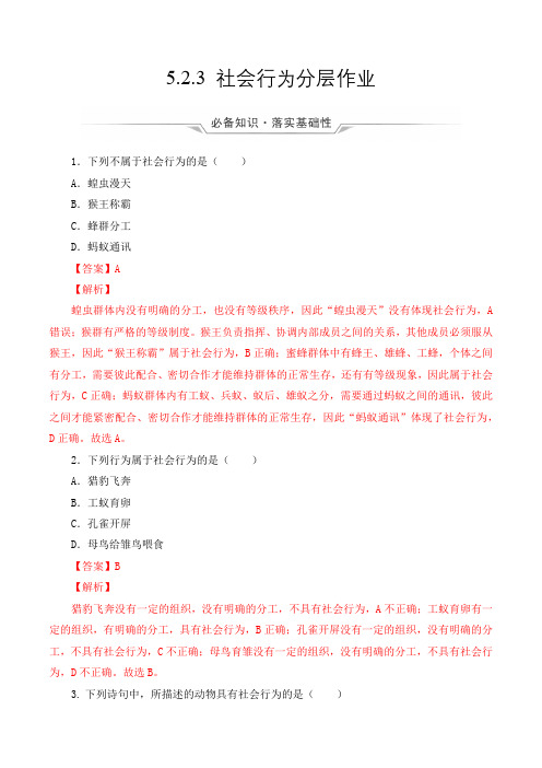 5.2.3 社会行为(分层作业)-2024-2025学年八年级上册生物同步备课系列(人教版)