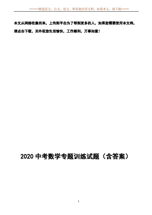 2020中考数学专题训练试题(含答案)