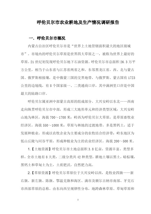 呼伦贝尔农业项目调研报告2