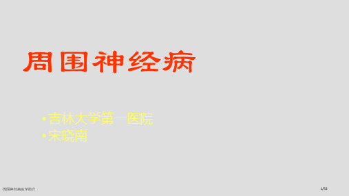 周围神经病医学简介