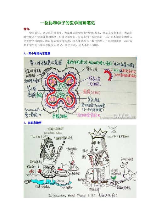 一位协和学子的医学图画笔记