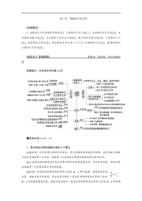 2019高考生物专题一 第三讲 细胞的生命历程 Word版含答案