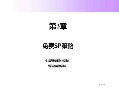 免费SP策略 PPT课件