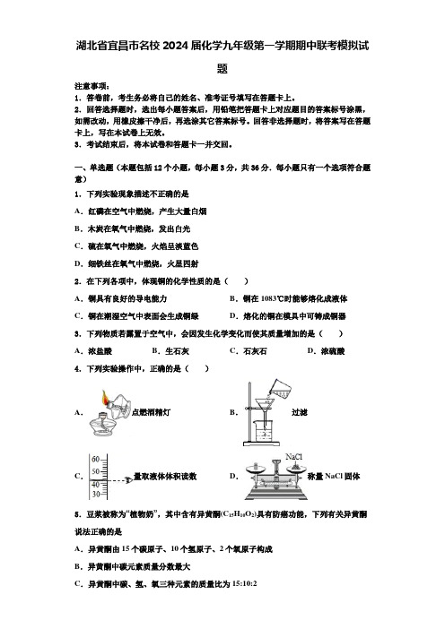 湖北省宜昌市名校2024届化学九年级第一学期期中联考模拟试题含答案解析