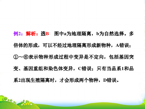 【三维设计】高考生物一轮复习 第三单元 第三讲 生物的进化课件 新人教必修2