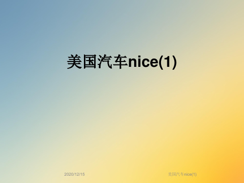 美国汽车nice(1)