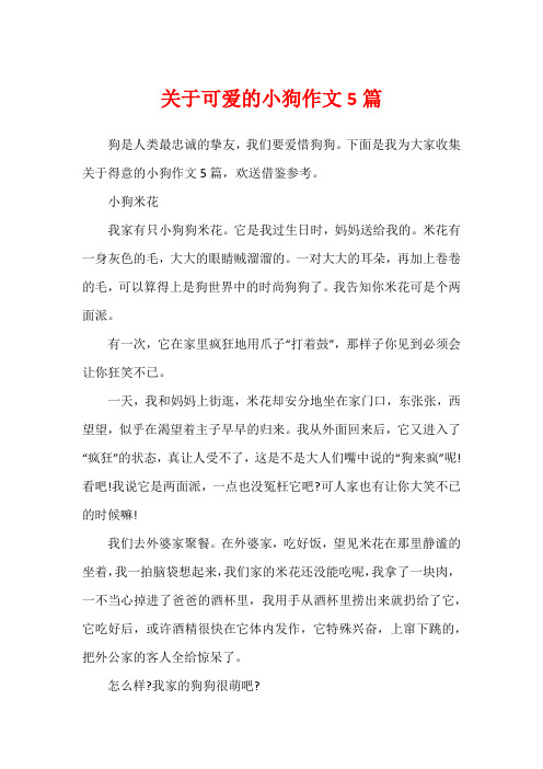 关于可爱的小狗作文5篇