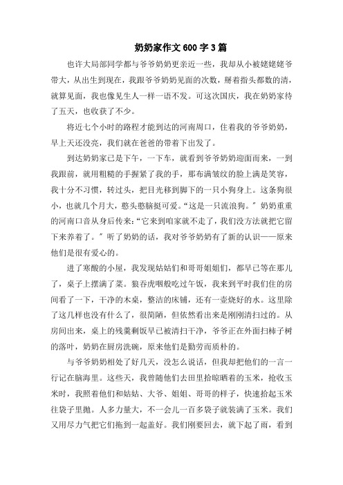 奶奶家作文600字3篇精选