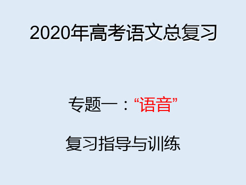 2020年高考语文总复习(语音专题)