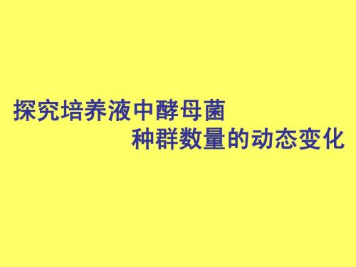 人教版教学课件探究培养液中酵母菌种群数量的动态变化课件