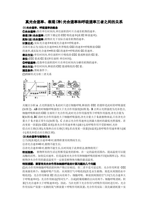 真光合速率、表观(净)光合速率和呼吸速率三者之间的关系