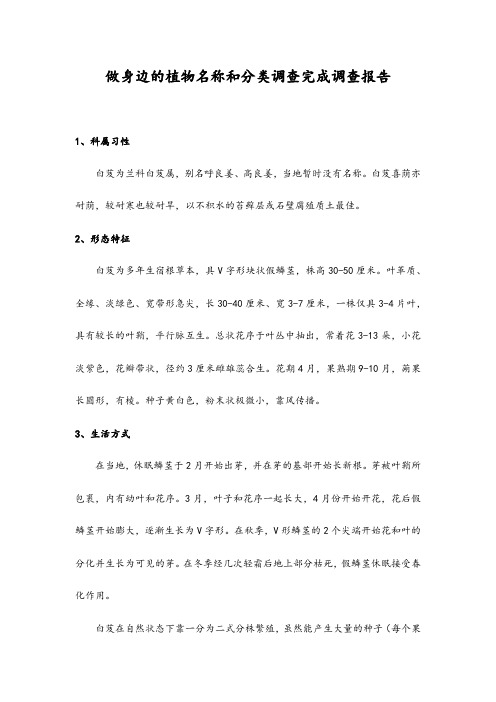 做身边的植物名称和分类调查完成调查报告