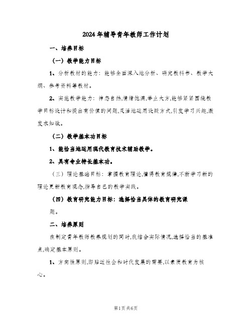 2024年辅导青年教师工作计划(三篇)