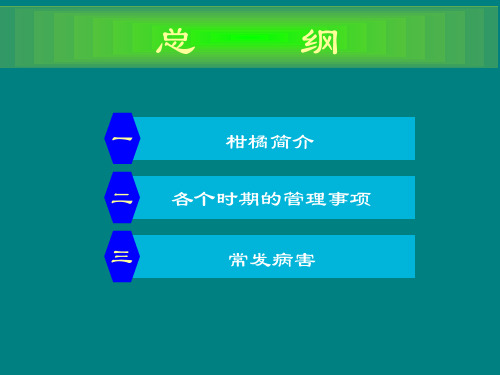 柑橘常见病虫害