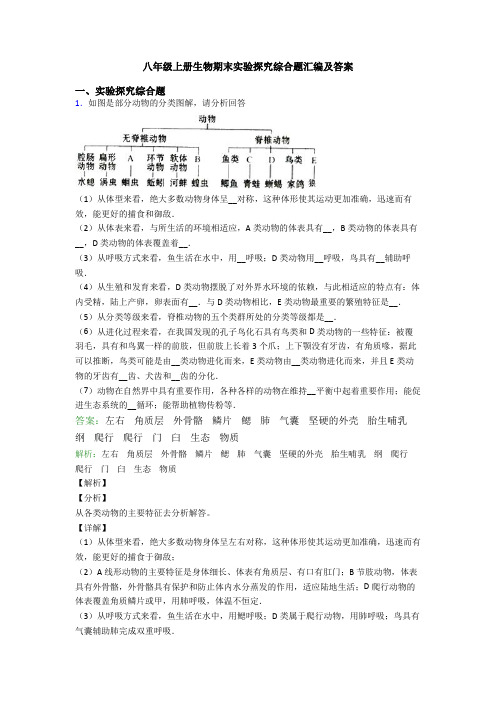 八年级上册生物期末实验探究综合题汇编及答案