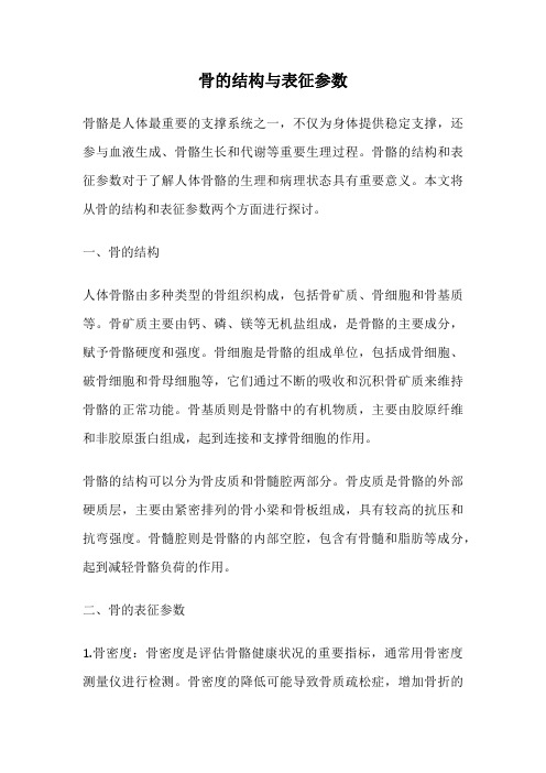 骨的结构与表征参数