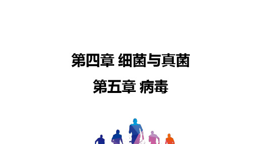 2021年甘肃中考一轮复习生物 第五单元 第四章-第五章 课件 