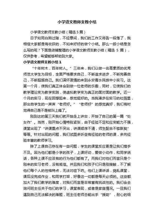 小学语文教师支教小结