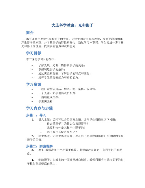 大班科学教案《光和影子》