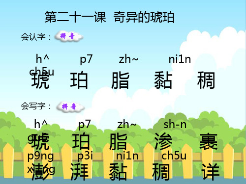 21 奇异的琥珀_生字词学习