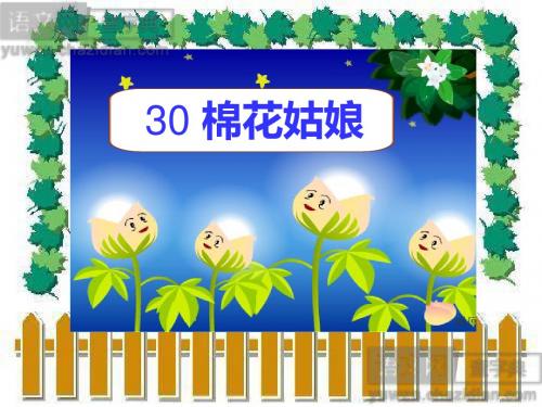 棉花姑娘