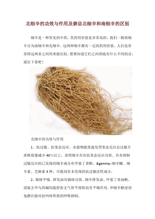 北细辛的功效与作用及禁忌 北细辛和南细辛的区别