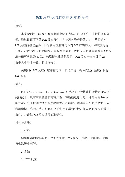 PCR反应及琼脂糖电泳实验报告