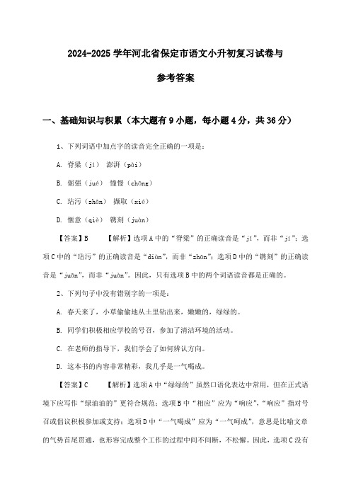 2024-2025学年河北省保定市语文小升初复习试卷与参考答案