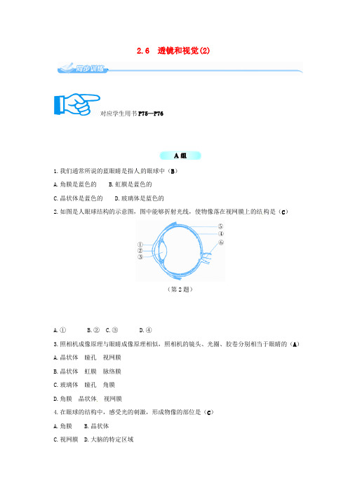 七年级科学下册 2.6 透镜和视觉(2)同步练习 (新版)浙教版