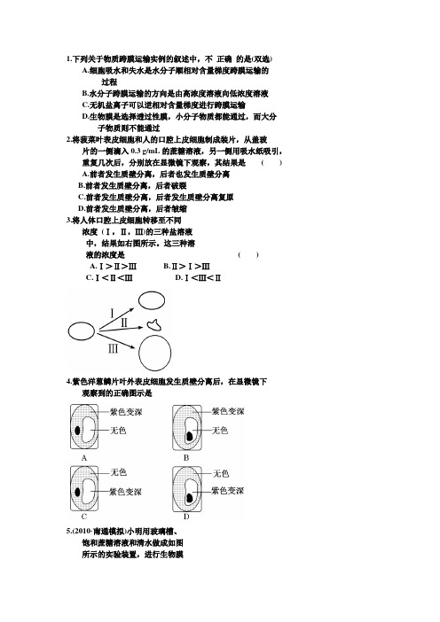 高中生物必修一第四章典型题