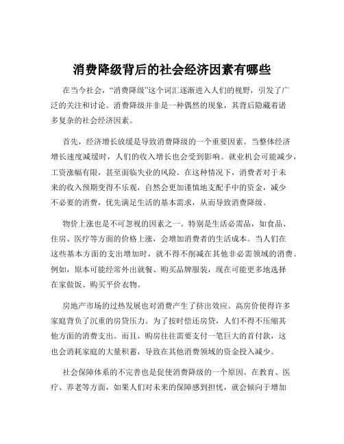 消费降级背后的社会经济因素有哪些