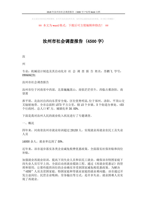 2019年汝州市社会调查报告 (4500字)-实用word文档 (6页)