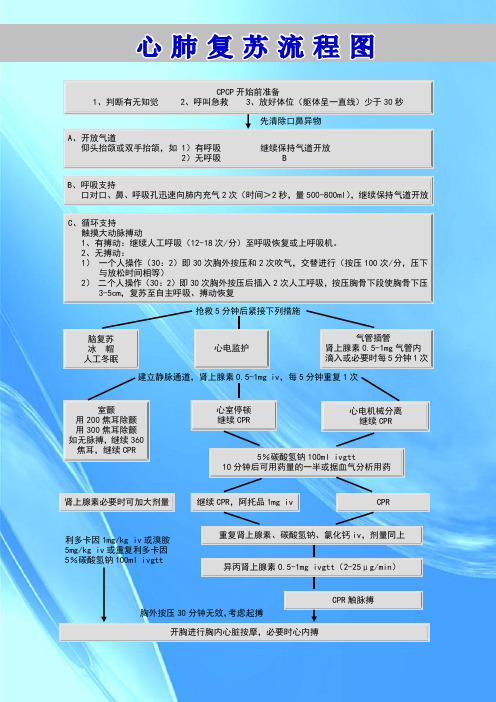 挂图-心肺复苏流程图