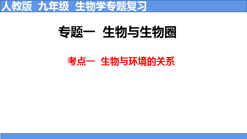 2024年中考生物复习考点一：生物与环境的关系课件