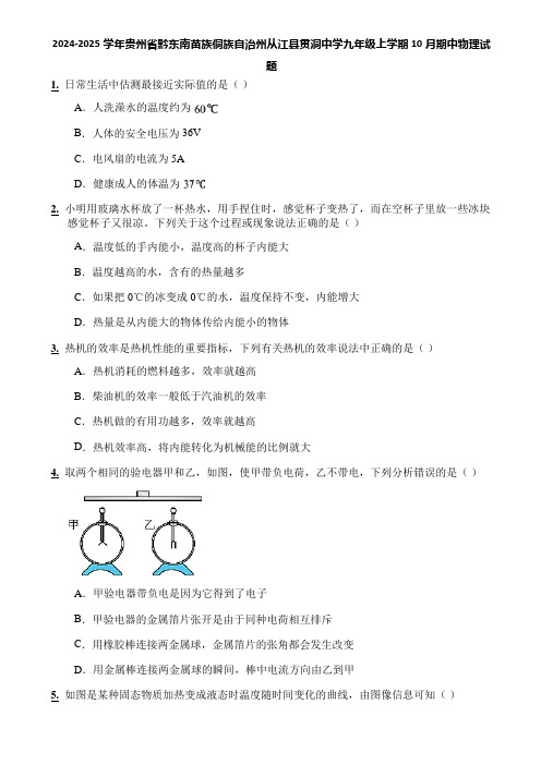 2024-2025学年贵州省黔东南苗族侗族自治州从江县贯洞中学九年级上学期10月期中物理试题