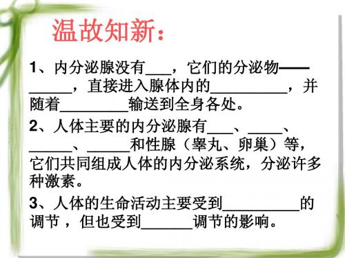 2  探究环境污染对生物的影响