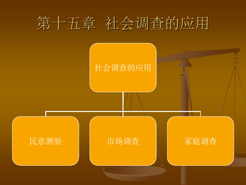 社会调查的应用